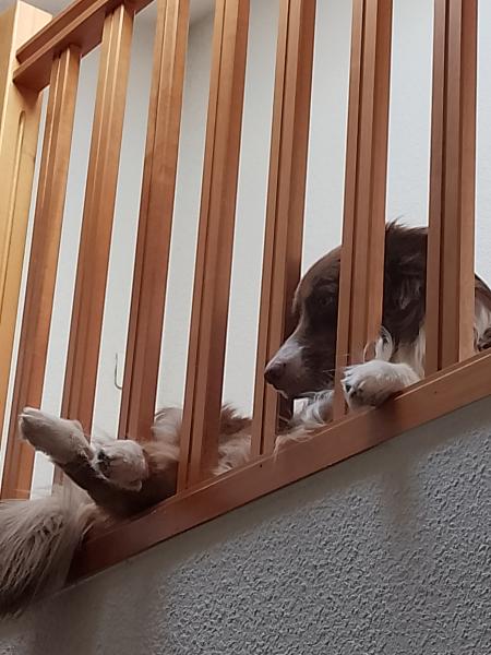 Photo du logement