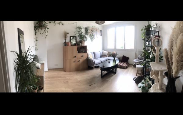 Photo du logement
