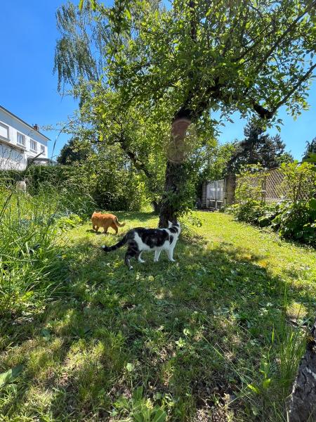 Photo du logement
