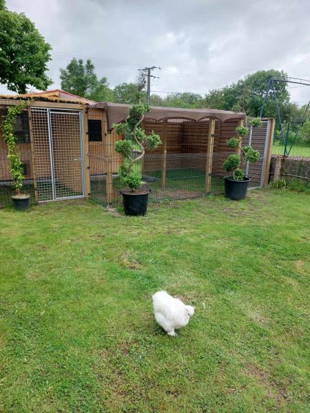 Photo du logement