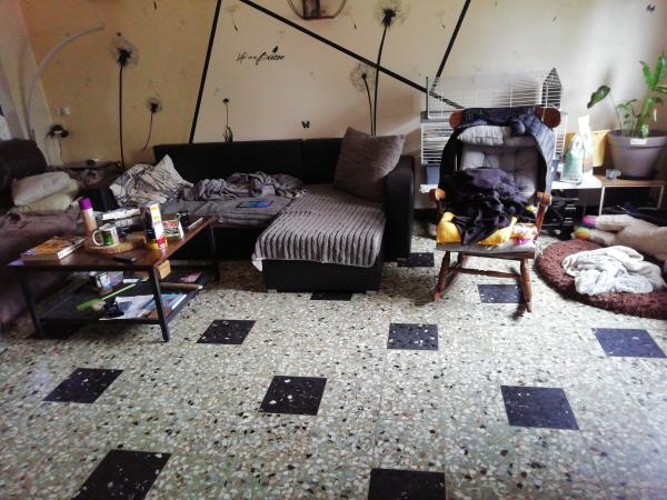 Photo du logement