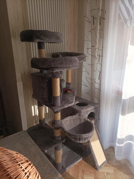 Photo du logement
