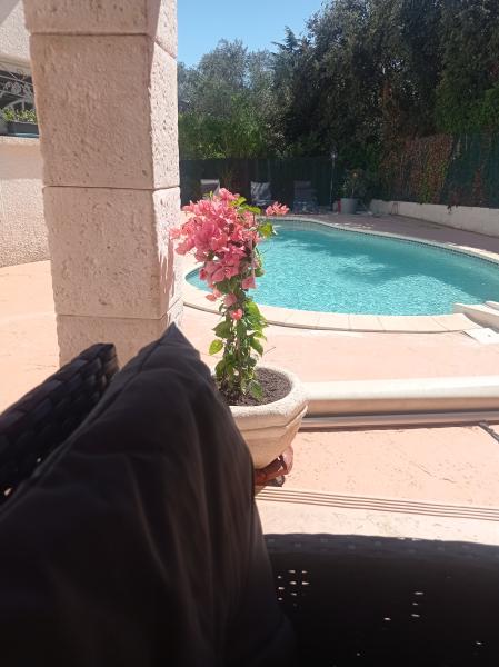Photo du logement