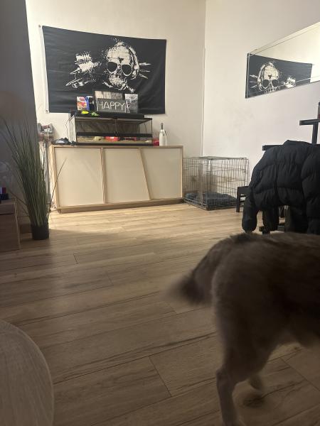 Photo du logement