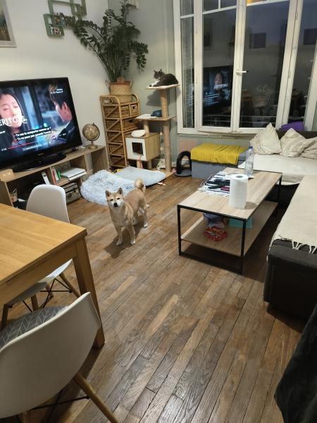 Photo du logement