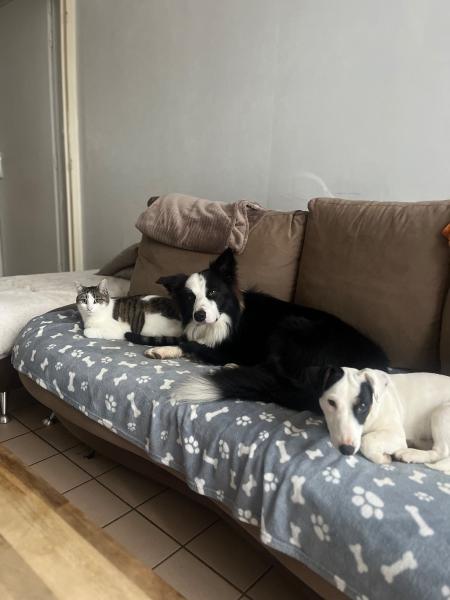 Photo du logement