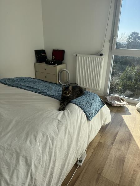 Photo du logement