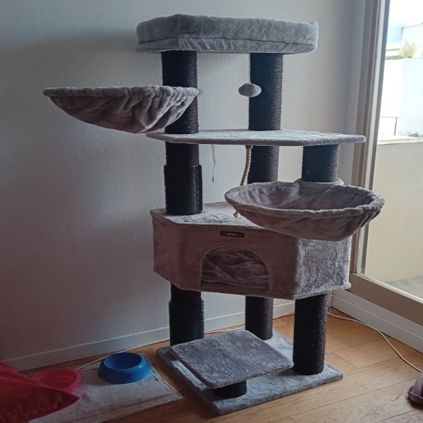 Photo du logement