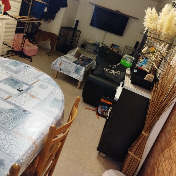 Photo du logement