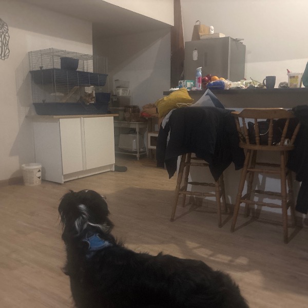Photo du logement