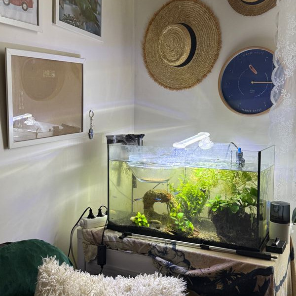 Photo du logement