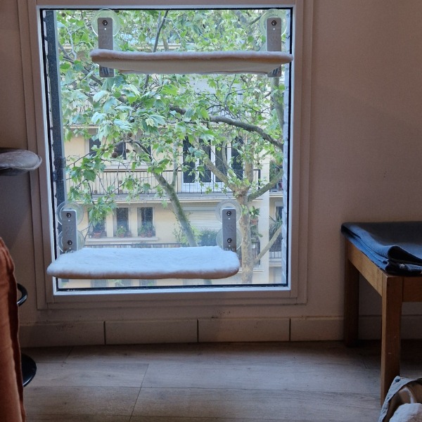 Photo du logement