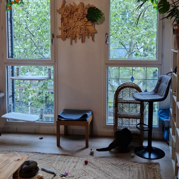 Photo du logement