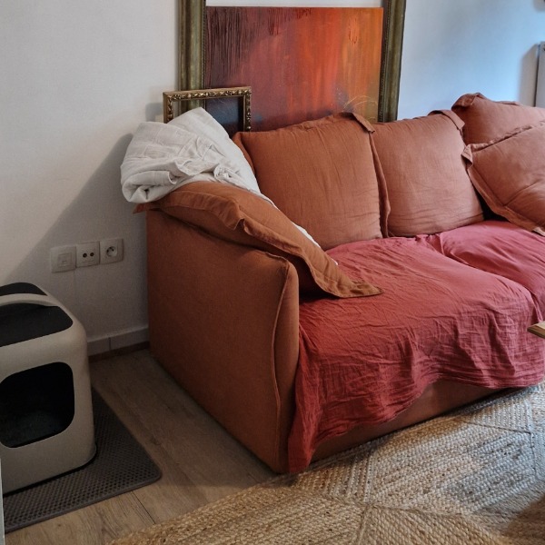 Photo du logement