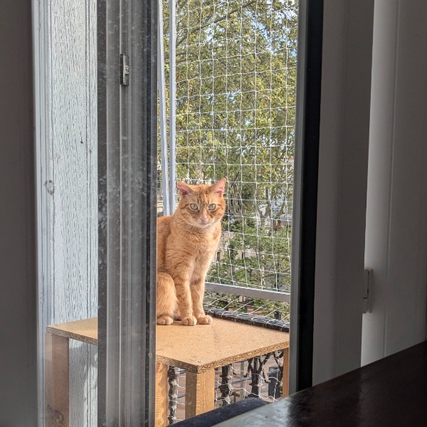 Photo du logement