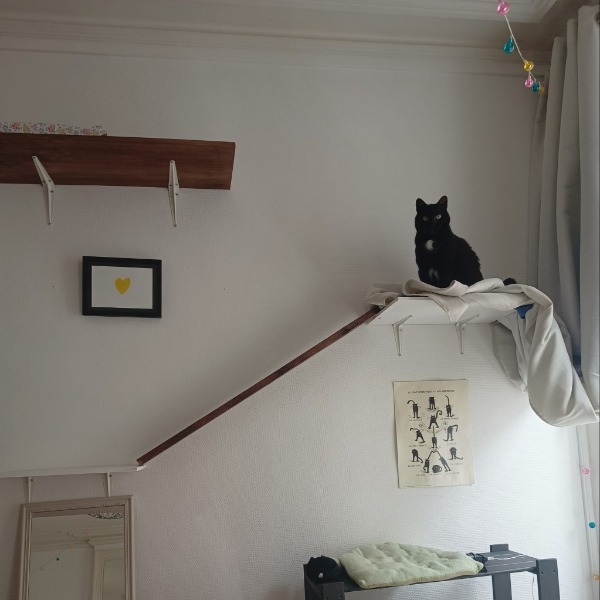 Photo du logement