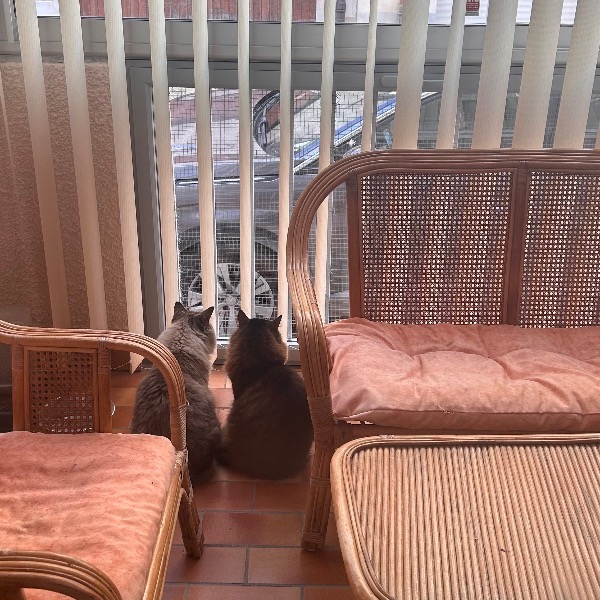 Photo du logement