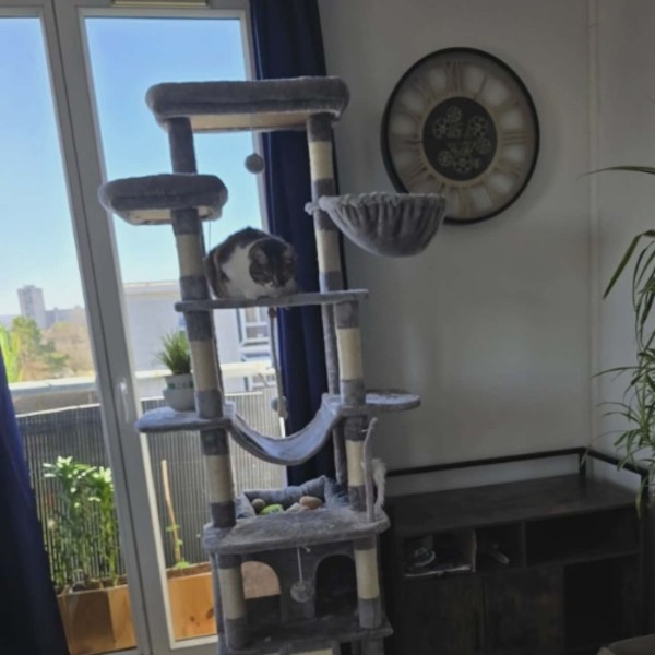 Photo du logement