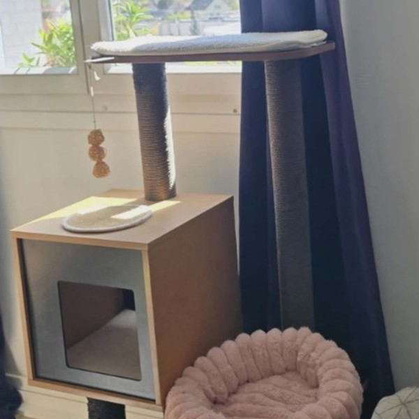Photo du logement