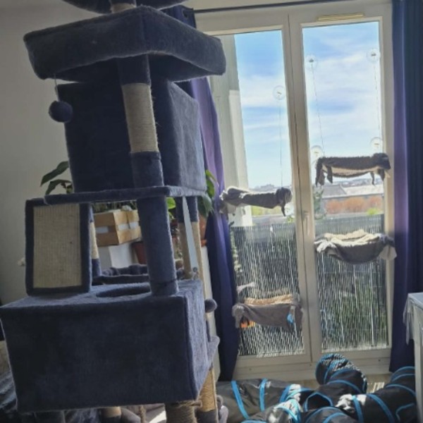Photo du logement