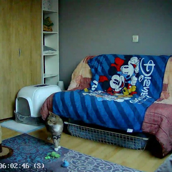 Photo du logement