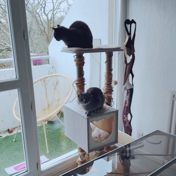 Photo du logement