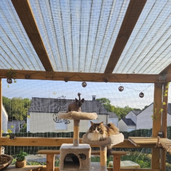 Photo du logement