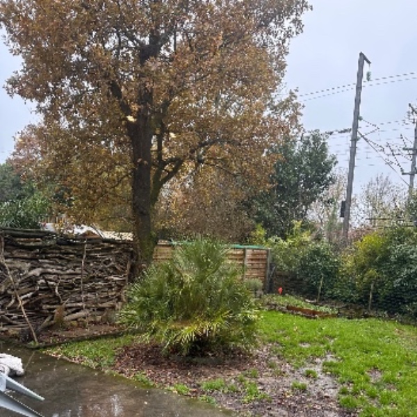 Photo du logement