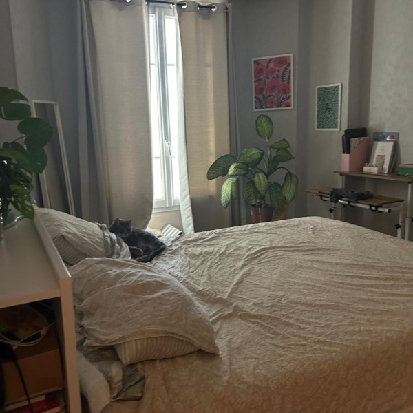 Photo du logement
