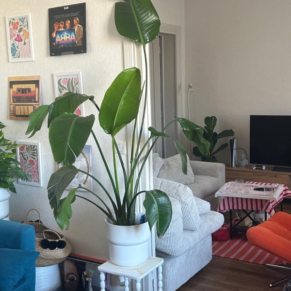 Photo du logement