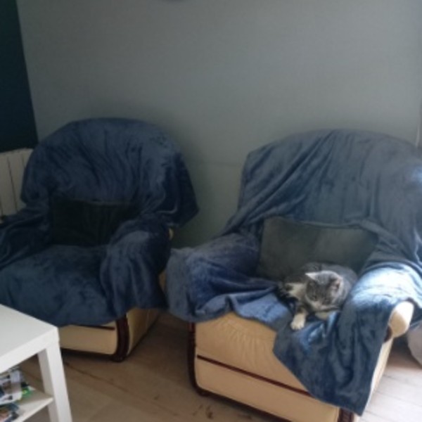 Photo du logement
