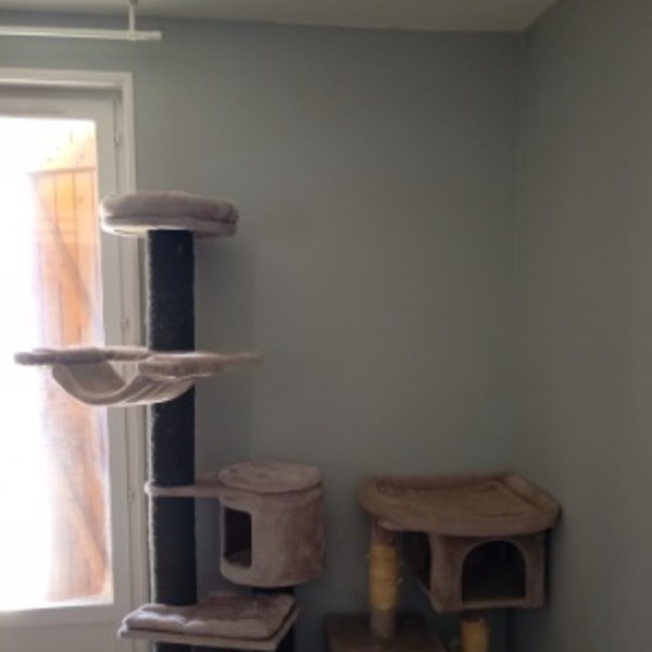 Photo du logement