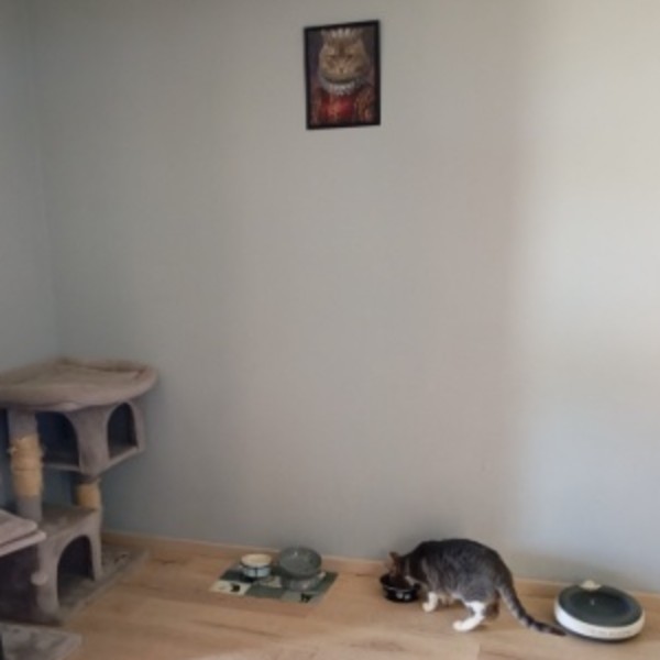 Photo du logement