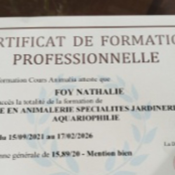 Photo du logement