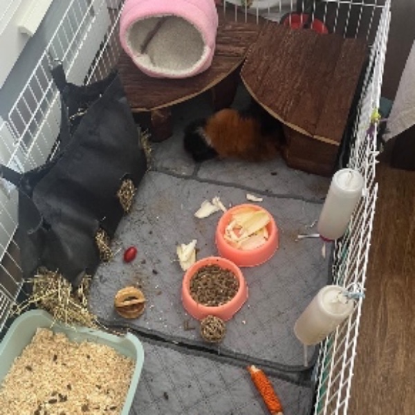 Photo du logement