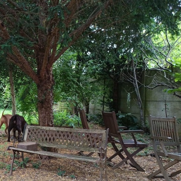 Photo du logement