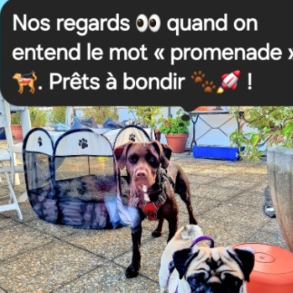 Photo du logement