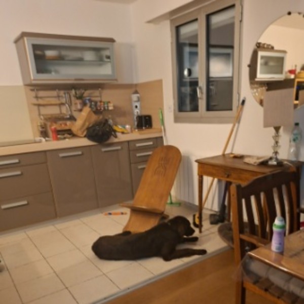 Photo du logement