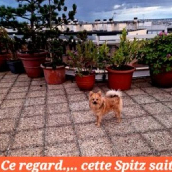 Photo du logement
