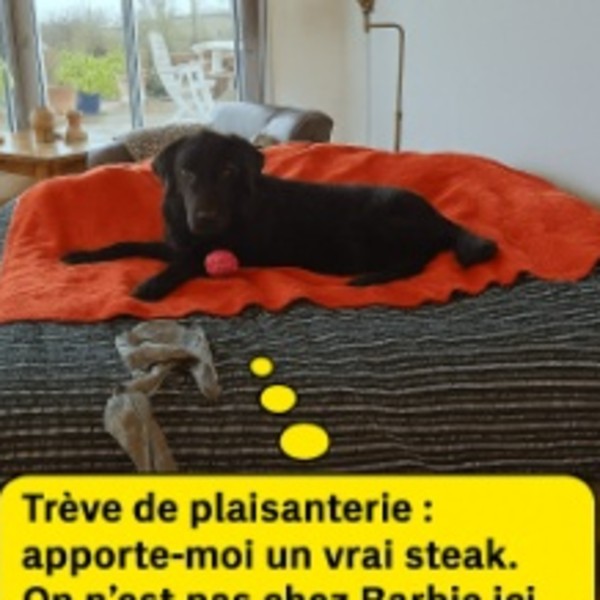 Photo du logement