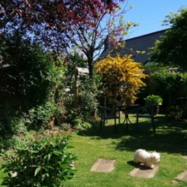 Photo du logement