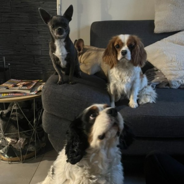 Photo du logement