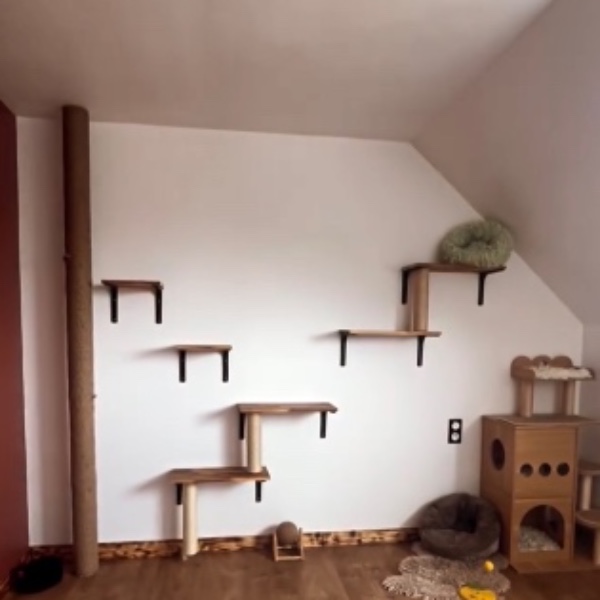 Photo du logement