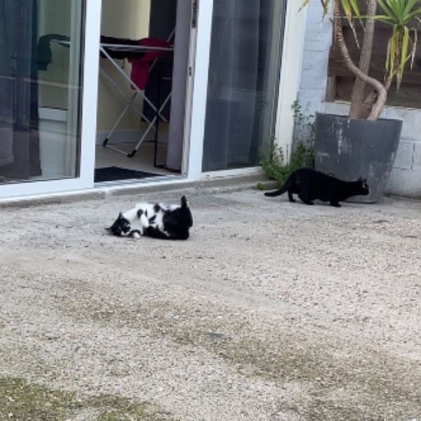 Photo du logement