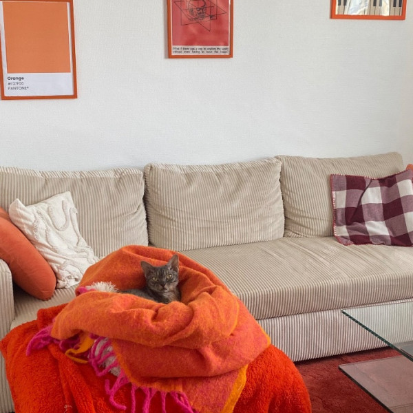 Photo du logement
