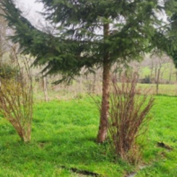 Photo du logement