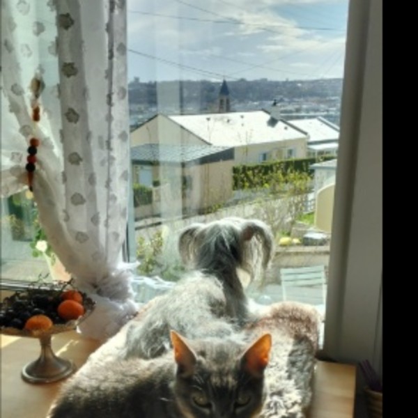 Photo du logement