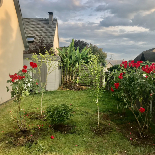 Photo du logement