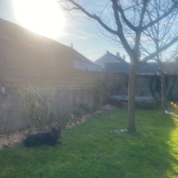 Photo du logement