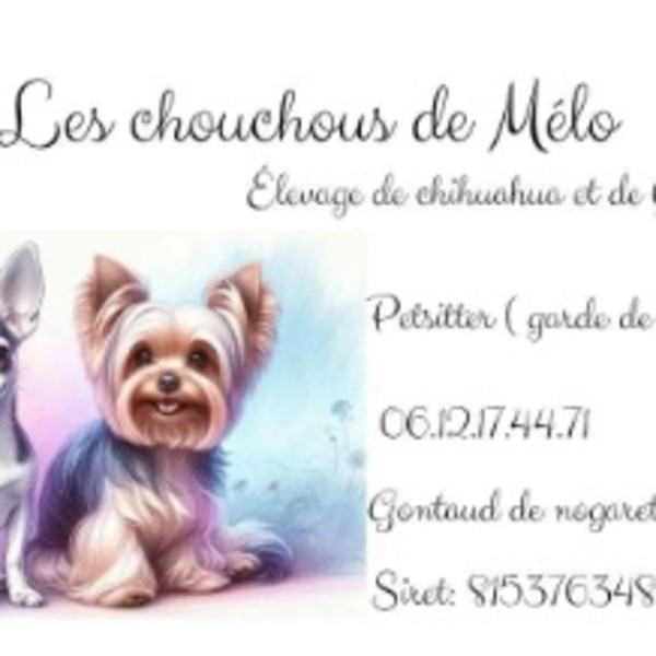 Photo du logement